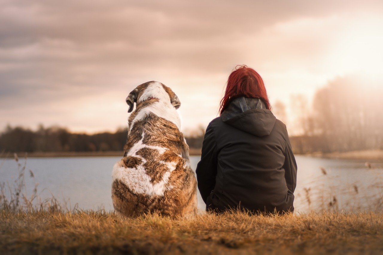 犬の癒し効果は研究で証明されていた 犬が人に与える影響を徹底解説 Petro Perochu 公式通販サイト 無添加 安心 安全のペットおやつ